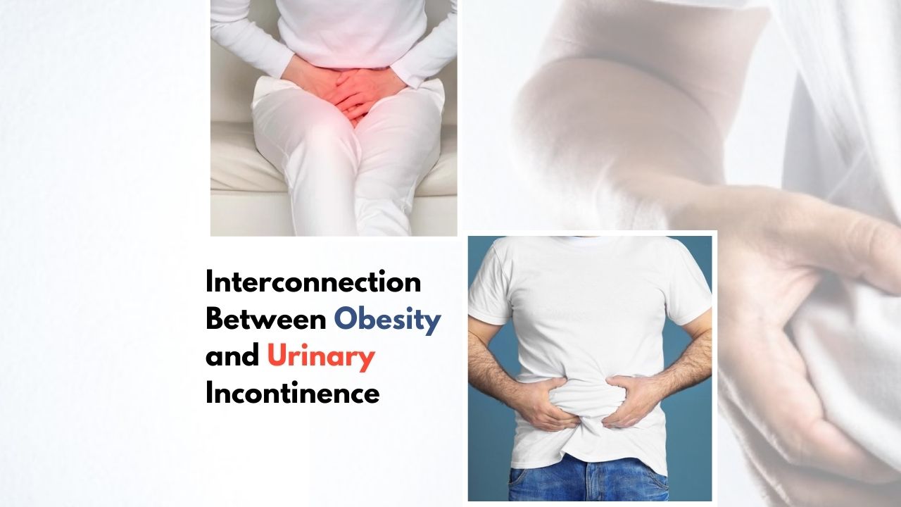 Curated visual reference: Picture Idea: Interconnection Between Obesity And Urinary Incontinence