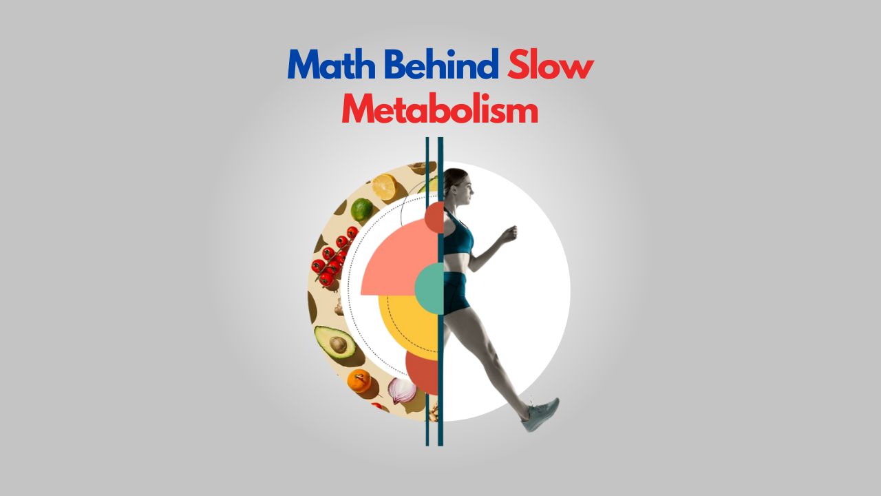 MATH BEHIND SLOW METABOLISM