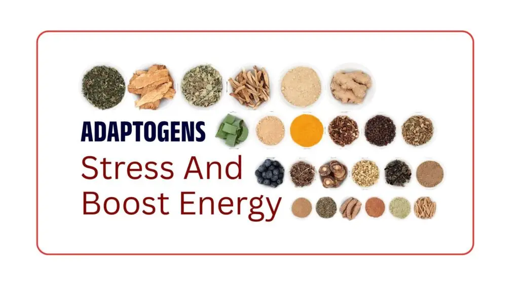 Adaptogens The Natural Way To Combat Stress And Boost Energy