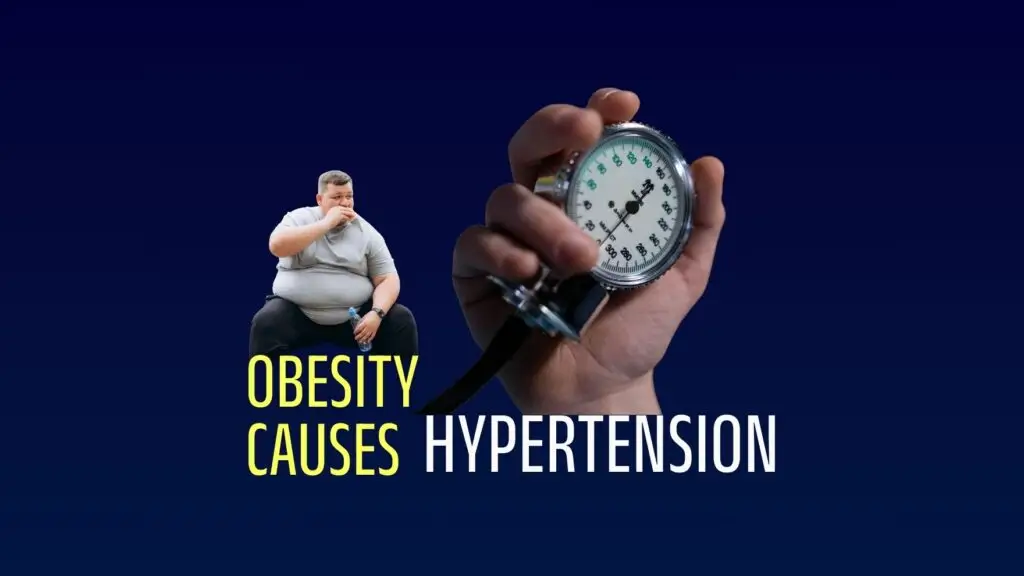 Obesity Causes Hypertension